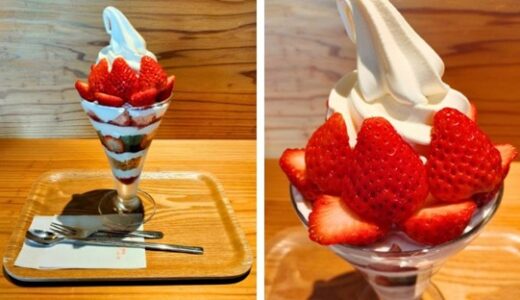 柏崎カフェ「米と餡 あやこや」で季節のスイーツを堪能
