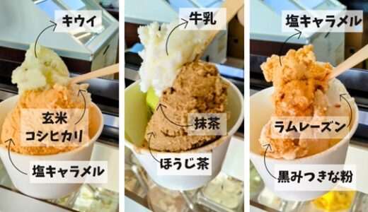 上越市本町に誕生「ジェラテリア ニーナ」の絶品ジェラート