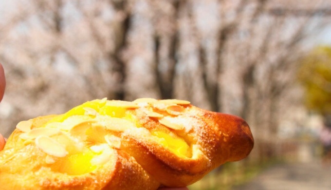 パンとバックが桜